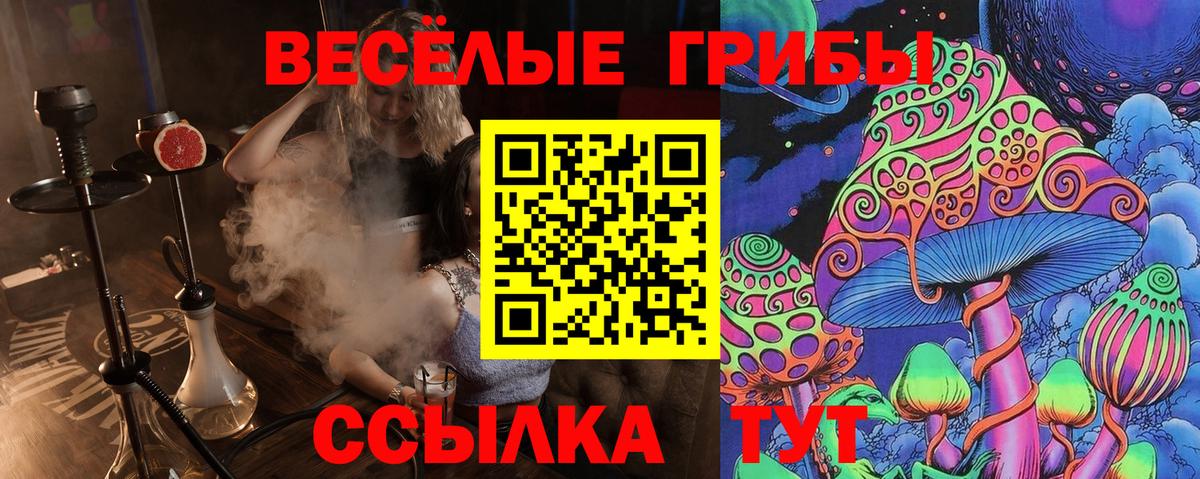 Галлюциногенные грибы Magic Shrooms Кизляр
