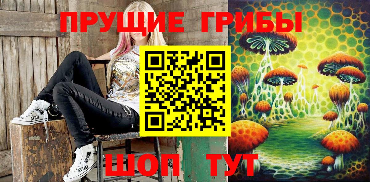 Кизляр  Галлюциногенные грибы Psilocybe  Псилоцибиновые грибы Psilocybine cubensis  Вход с VPN 